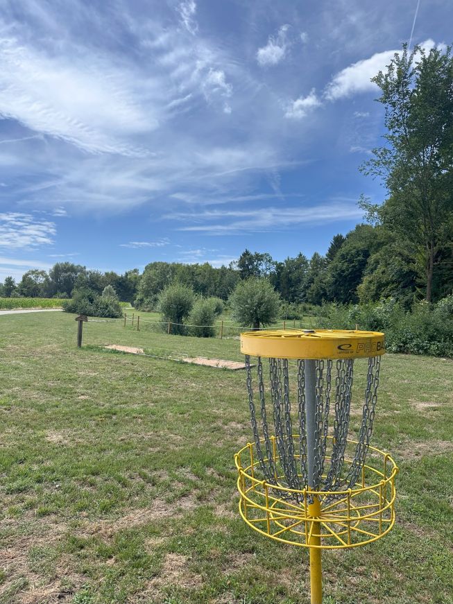 Disc Golf
